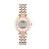 Coach Park Silver Dial Two Tone Steel Strap Watch for Women - 14503642