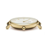 Daniel Wellington Classic Petite Evergold White Dial Gold Mesh Bracelet Watch For Women - DW00100350
