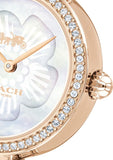 Coach Park Mother of Pearl Dial Rose Gold Mesh Bracelet Watch for Women - 14503511