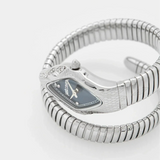 Just Cavalli Ferocious Blue Dial Silver Steel Strap Watch for Women - JC1L306M0015