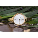 Calvin Klein Lively White Dial Rose Gold Steel Strap Watch for Women - K4U23626