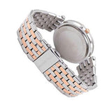 Michael Kors Darci Silver Dial Two Tone Steel Strap Watch for Women - MK3298