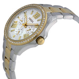 Fossil Cecile White Dial Two Tone Steel Strap Watch for Women - AM4543