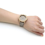 Michael Kors Runway Three Hand Quartz Gold Dial Brown Leather Strap Watch For Women - MK6999